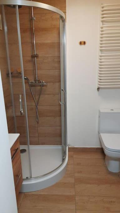 Apartament, Ogrodek, Przy Rynku! Zielona Gora  Exterior photo